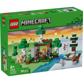LEGO MINECRAFT FIRST NIGHT ADVENTURE 