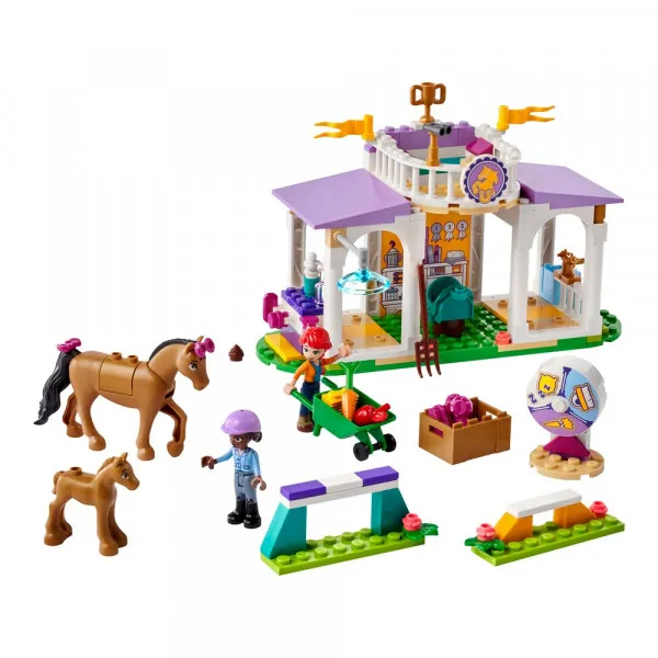 LEGO FRIENDS HORSE TRAINING 