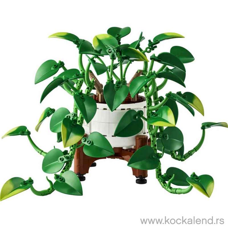LEGO BOTANICALS HANGING GOLDEN POTHOS 