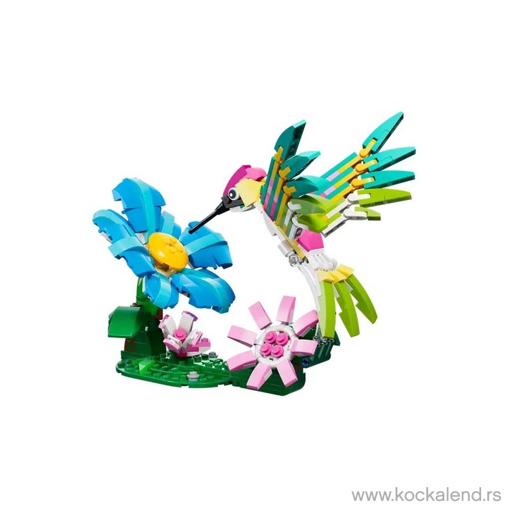LEGO CREATOR WILD ANIMALS COLORFUL HUMMINGBIRD 