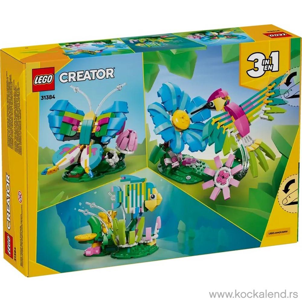 LEGO CREATOR WILD ANIMALS COLORFUL HUMMINGBIRD 