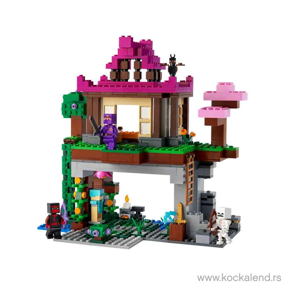 LEGO MINECRAFT DOJO CAVE 