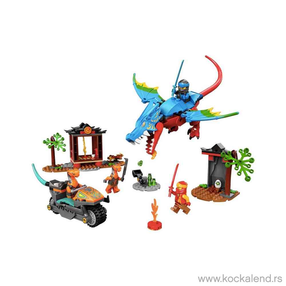 LEGO NINJAGO NINJA DRAGON TEMPLE 