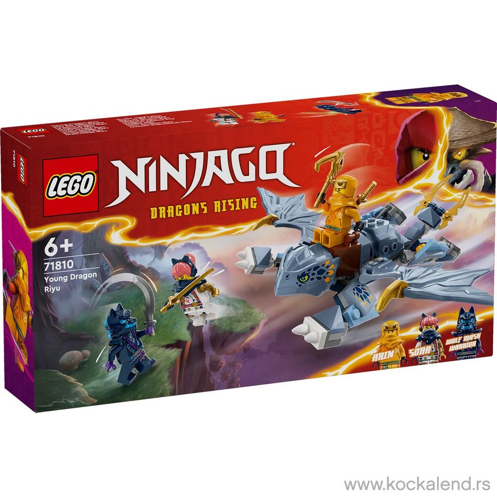 LEGO NINJAGO YOUNG DRAGON RIYU 